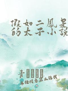 假如二凤是始皇的太子小说笔趣阁