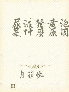 尿液发黄泡沫多是什么原因