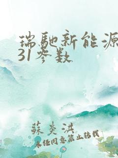 瑞驰新能源ec31参数