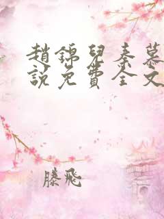 赵锦儿秦慕修小说免费全文阅读