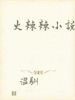 火辣辣小说全集