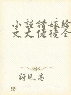 小说错嫁给年代文大佬后全本阅读