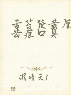 舌苔发黄厚腻有齿痕口臭