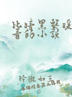 比暗黑系暖婚好看的小说