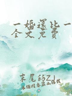 一婚还比一婚高全文免费
