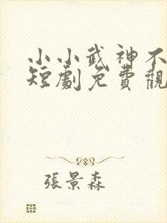 小小武神不好惹短剧免费观看