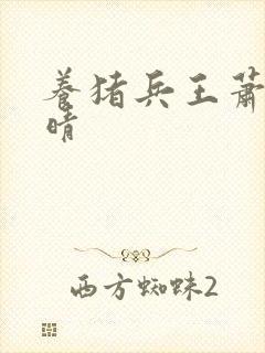 养猪兵王萧晨苏晴