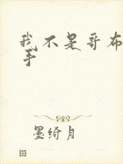 我不是哥布林杀手