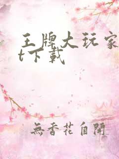 王牌大玩家txt下载