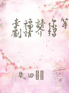 幸福请你等等我剧情介绍