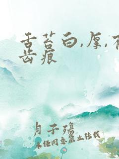 舌苔白,厚,有齿痕