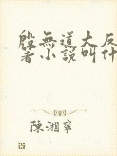 殷无道大反派原著小说叫什么