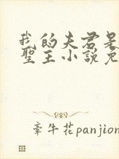 我的夫君是苗疆圣主小说免费阅读