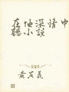 在他深情中陨落听小说