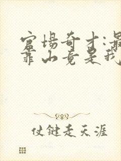 官场奇才:最强靠山竟是我自己李霖免费全