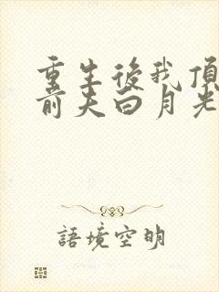 重生后我顶替了前夫白月光在线小说