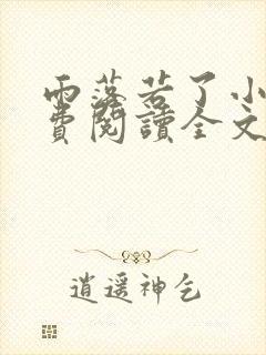 雨落若了小说免费阅读全文最新章节