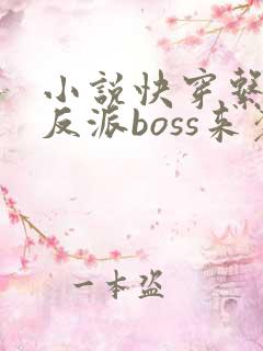 小说快穿系统之反派boss来袭