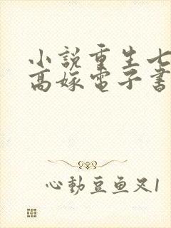 小说重生七零再高嫁电子书