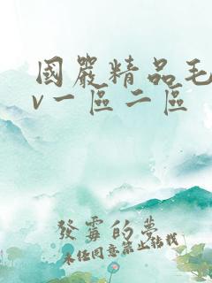 国严精品毛片av一区二区