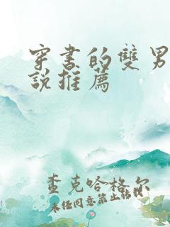 穿书的双男主小说推荐