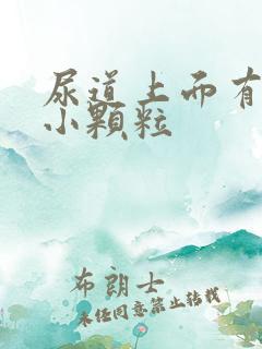 尿道上面有白色小颗粒