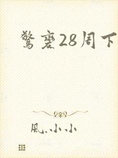 惊变28周下载