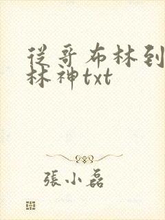 从哥布林到哥布林神txt