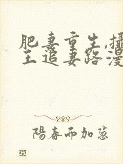 肥妻重生,摄政王追妻路漫漫短剧