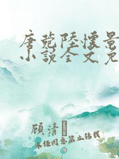 唐菀陆怀景穿越小说全文免费阅读