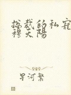 总裁的私宠宝贝穆天阳