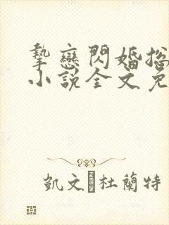 挚恋闪婚总裁欢小说全文免费阅读