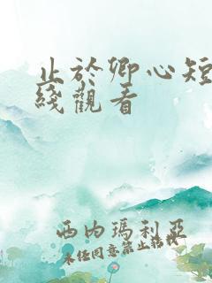止于卿心短剧在线观看