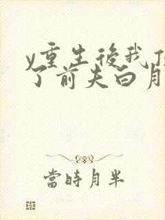 y重生后我顶替了前夫白月光