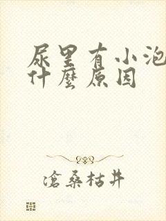 尿里有小泡泡是什么原因