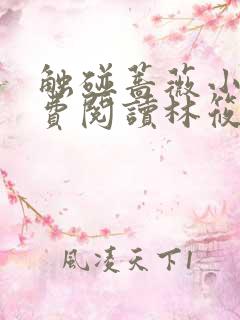 触碰蔷薇小说免费阅读林筱帆,浦应辛