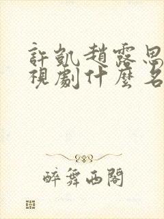 许凯赵露思的电视剧什么名字