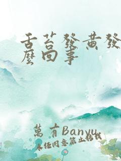 舌苔发黄发腻怎么回事