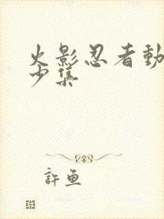 火影忍者动画多少集