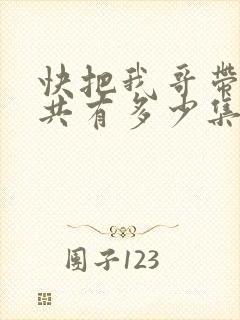 快把我哥带走一共有多少集?