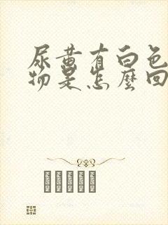 尿黄有白色沉淀物是怎么回事