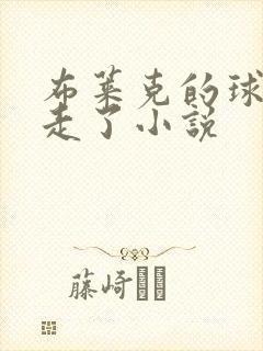 布莱克的球被拿走了小说