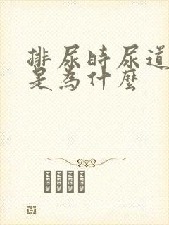 排尿时尿道疼痛是为什么