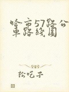 哈市57路公交车路线图