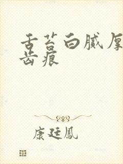 舌苔白腻厚黄有齿痕