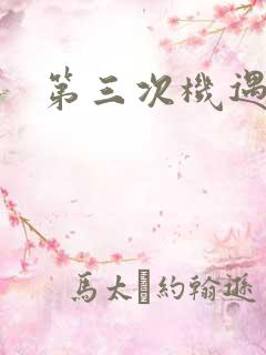 第三次机遇
