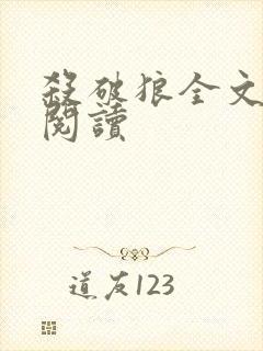 杀破狼全文在线阅读