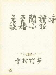 免费阅读暗黑系暖婚小说