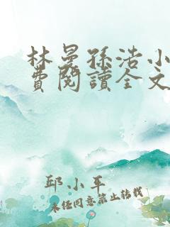 林曼孙浩小说免费阅读全文最新章节