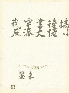 我穿书后搞到了反派大佬 小说